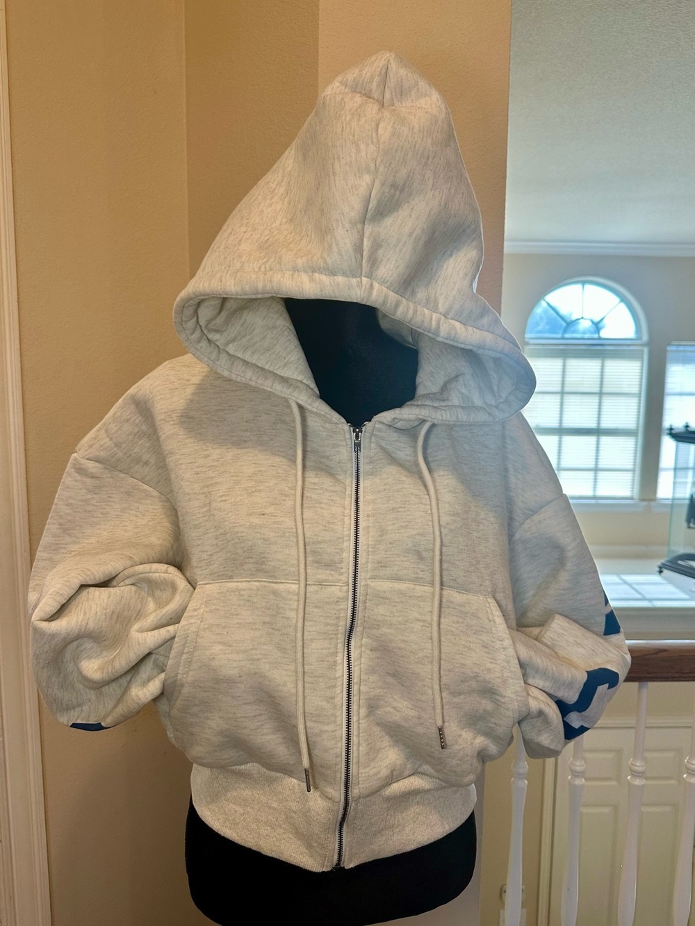 Oversized Cropped Zip Hoodie Fleece Lined Varsity Graphic Streetwear L NWOT - Picture 3 of 11